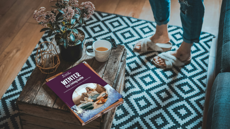 Cow & Coconut: Winter Eco Living Guide