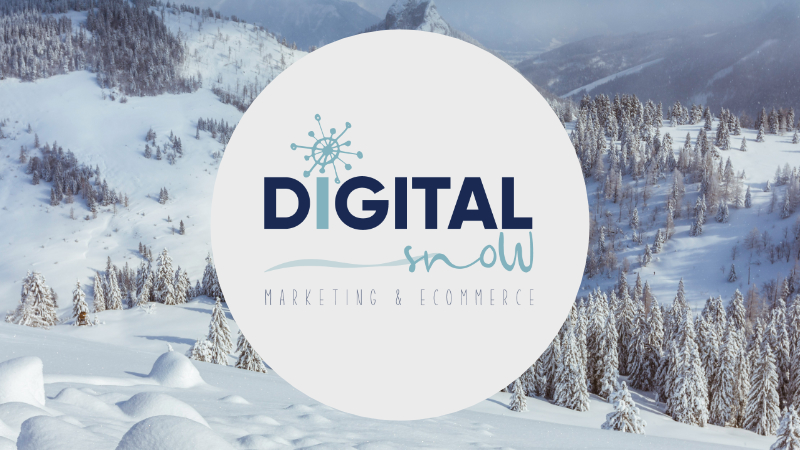 Digital Snow Logo Design